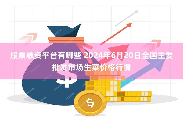 股票融资平台有哪些 2024年6月20日全国主要批发市场生菜价格行情