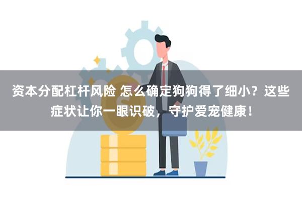 资本分配杠杆风险 怎么确定狗狗得了细小？这些症状让你一眼识破，守护爱宠健康！