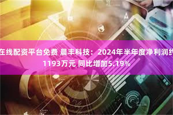 在线配资平台免费 晨丰科技：2024年半年度净利润约1193万元 同比增加5.19%