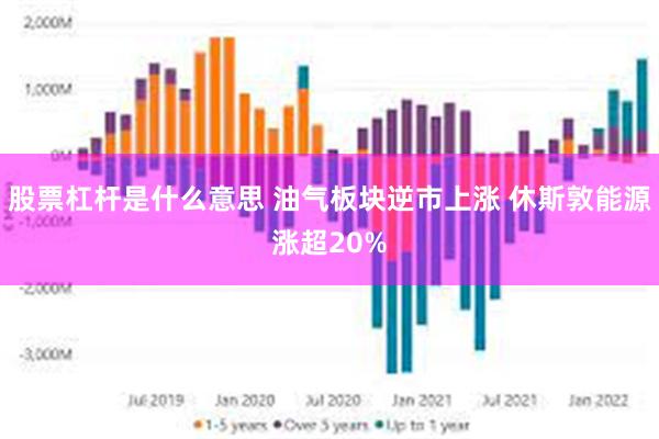 股票杠杆是什么意思 油气板块逆市上涨 休斯敦能源涨超20%