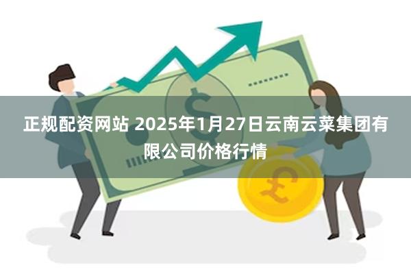 正规配资网站 2025年1月27日云南云菜集团有限公司价格行情