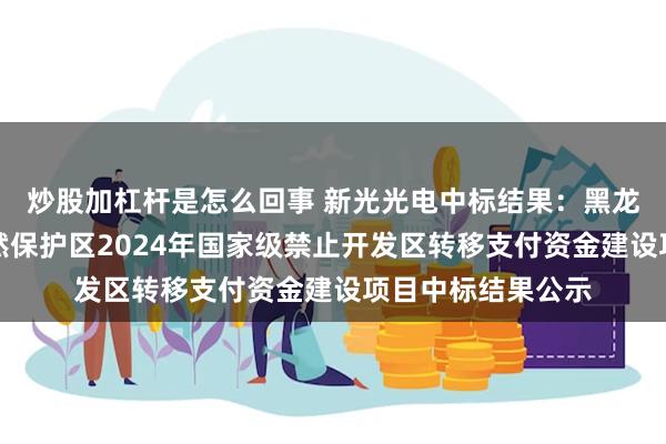 炒股加杠杆是怎么回事 新光光电中标结果：黑龙江岭峰国家级自然保护区2024年国家级禁止开发区转移支付资金建设项目中标结果公示