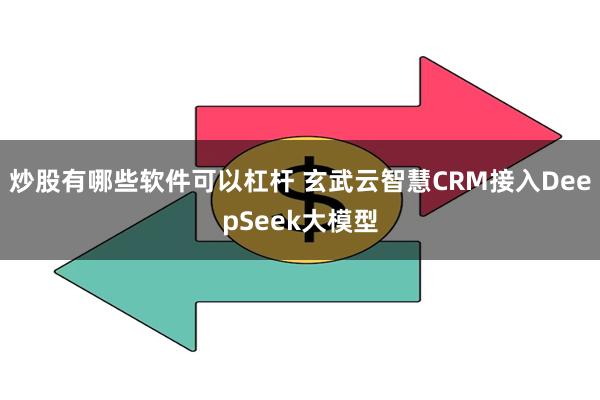 炒股有哪些软件可以杠杆 玄武云智慧CRM接入DeepSeek大模型