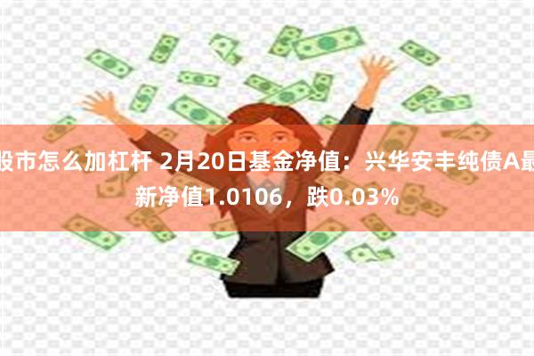 股市怎么加杠杆 2月20日基金净值：兴华安丰纯债A最新净值1.0106，跌0.03%