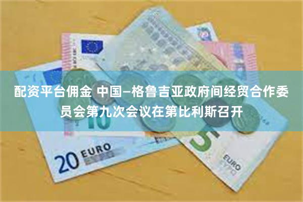 配资平台佣金 中国—格鲁吉亚政府间经贸合作委员会第九次会议在第比利斯召开